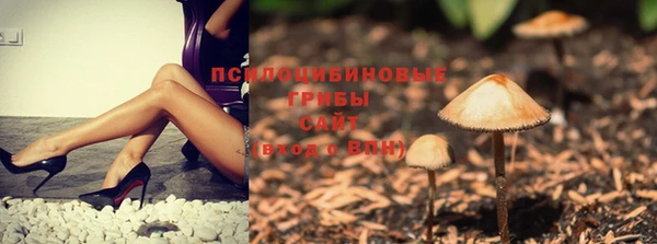 ECSTASY Козловка