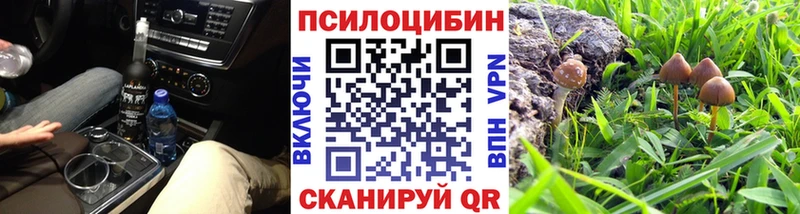 Псилоцибиновые грибы Cubensis  Купить  Белоярский 